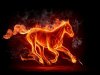 1270624272_470x353_fire-horse-wallpaper.jpg