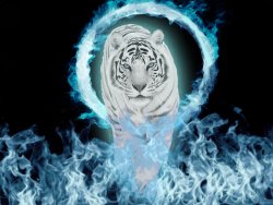 snow-tiger-blue-fire-normal-blend.jpg