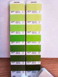 pantone swatches 2.jpg