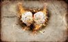 burning_paper_heart_v2_by_5p34k-d4o7dn5.jpg