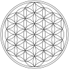 Flower Of Life.png