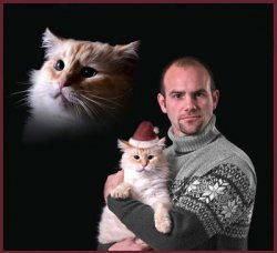 Snowflake_Sweater_Floating_Cat_Head_Cat_Family_Portrait.jpg