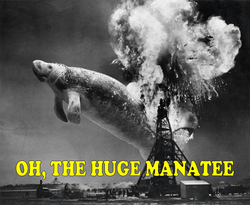 Manatee1.png