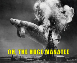 Manatee2.png