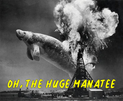 Manatee3.png