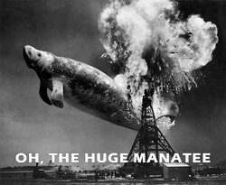 Hindenburg_disaster_6_B&W.jpg