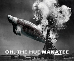 Hindenburg_disaster_6_Hue.jpg