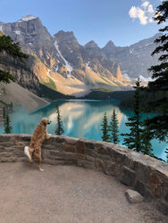 banff pic 7 w dog.jpg