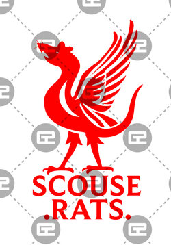 scouse rats.jpg