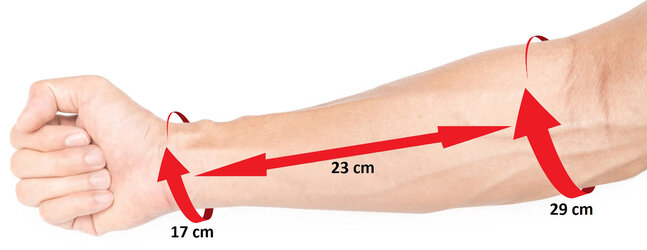 forearm.jpg