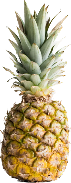 pineapple.png