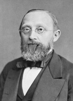 Virchow with einsteins tongue 2.jpg