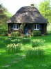 Small-Cottage-House-in-grassy-fields.jpg