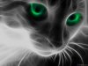 thumb3_abstract_cat_with_green_eyes.jpg