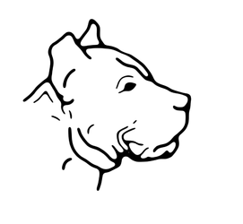 DOGO-HEAD-LOGO.png