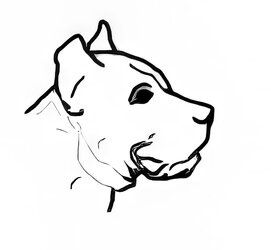 DOGO-HEAD-LOGO.jpg