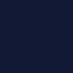 Navy Blue.png