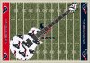 Texans LTD Field.jpg