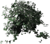 tree_09_by_cheyenne75-d3dou8q.png