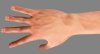 hand-top.jpg