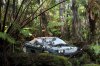 hawaii-rainforest-national-parkcar.jpg