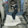 avatar31828_317_dv.gif