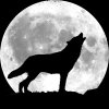 wolf-howling-full-moon.jpg