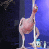 Chicken-Pole.gif