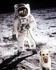 WALKIES ON THE MOON..jpg