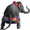 elephantizedMcC.gif