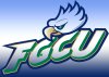 FGCU_Eagle_Color.jpg