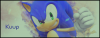 sonic.png