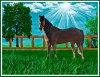 Horse-Painting-Adj-1000px.jpg