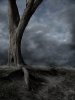 dead_tree_bg_by_the_night_bird-d4catvy.jpg