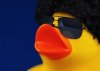 ducks funny afro mofo aviator glasses 1366x768 wallpaper_wallpaperswa.com_11.jpg