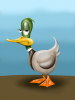 mallard.PNG