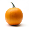 pumpkin-08.png