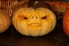 Pumpkin2013.jpg