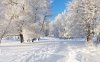 snow-wallpaper-widescreen.jpg