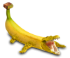 banaligator2.png