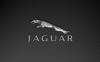 jaguarleaperlogocarbonfiber1440x900 - Copy.png