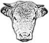 Bull head.png