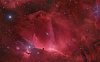 horsehead-nebula.jpg