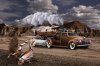 Bronzing Ford Desert_new1400.jpg