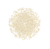 parmesan2.png