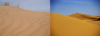 desert_collage2.png