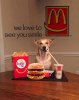 Happy Meal McDonalds -chrisdesign.jpg