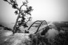 pennybacker-bridge-facing-fog-lbw.jpg