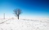 Snow-hd-desktop-Wallpaper.jpg