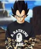 vegeta bape.jpg